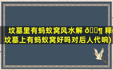 坟墓里有蚂蚁窝风水解 🐶 释(坟墓上有蚂蚁窝好吗对后人代响)
